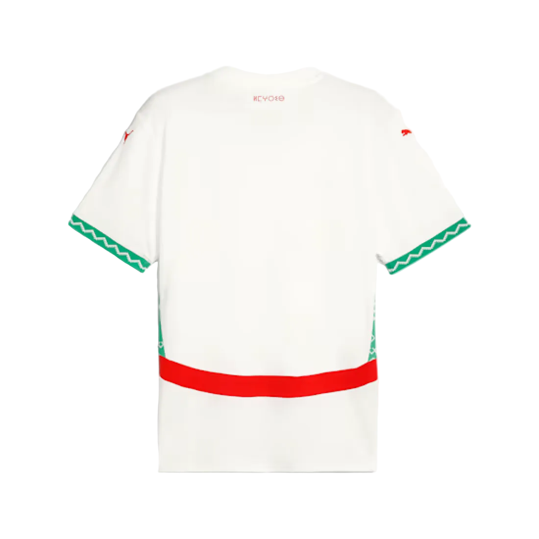 Maillot extérieur Maroc 2025 homme