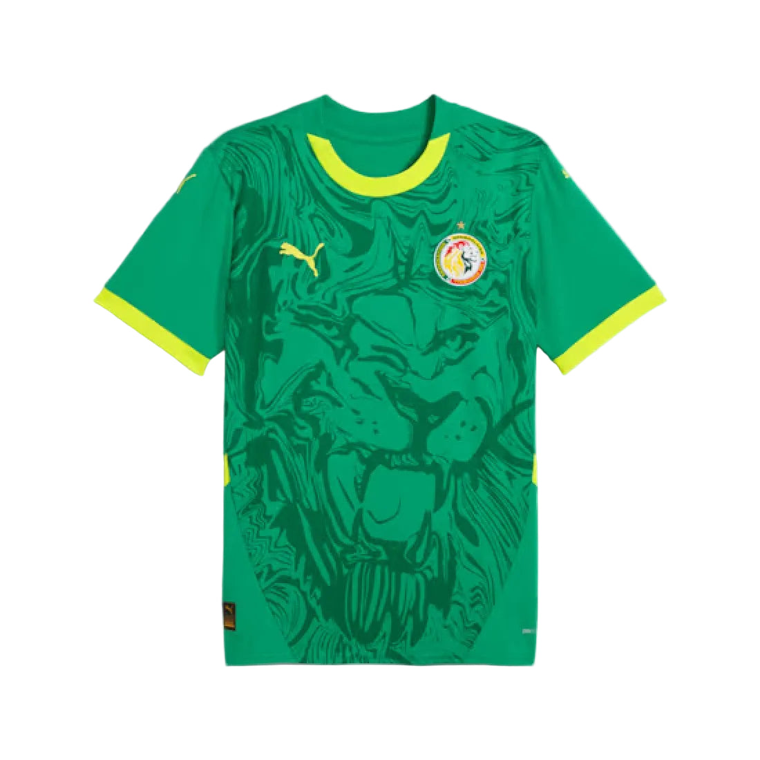 Maillot extérieur homme Sénégal 2025
